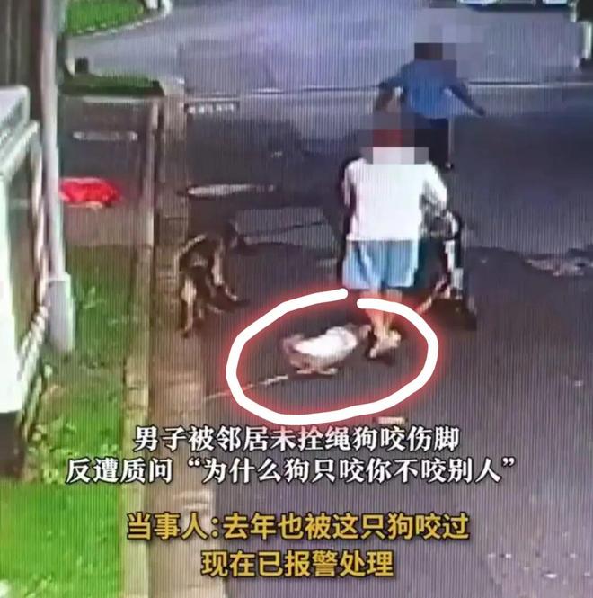 人生就是博：男子小区被同一只狗咬两次遭狗主人反问：怎么不咬别人只咬你？(图4)