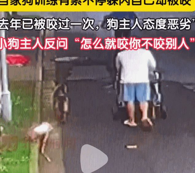 人生就是博：男子小区被同一只狗咬两次遭狗主人反问：怎么不咬别人只咬你？(图2)