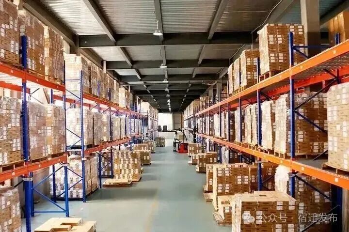 “宿迁造”单项冠军拿下全国第一！(图3)