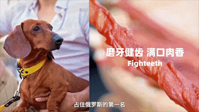 “宿迁造”单项冠军拿下全国第一！(图5)