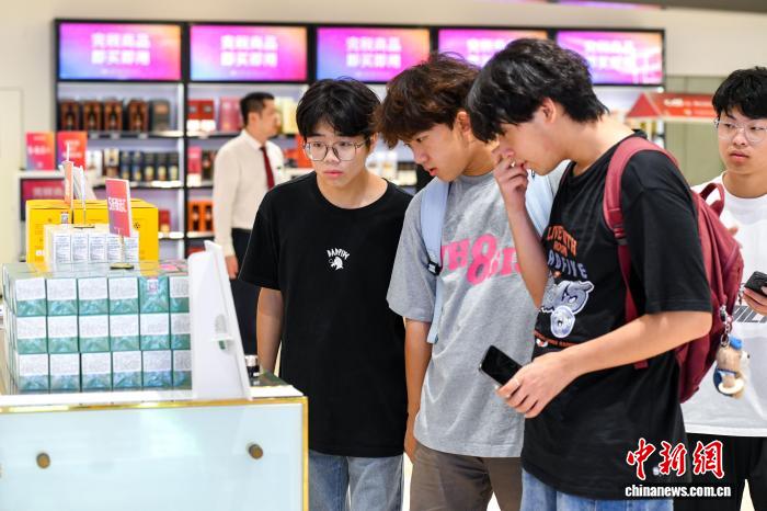 猫咪mv最新永久地域猫咪(图1)