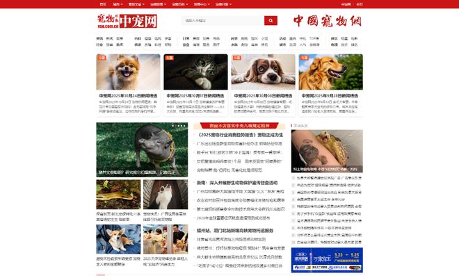 尊龙凯时网站：深耕宠物领域中国宠物网（中宠网）以专业标杆地位引领行业发展(图1)