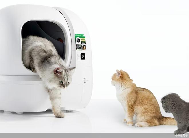 z6尊龙·凯时：细分领域增长宠物经济迎来国产品牌爆发(图1)