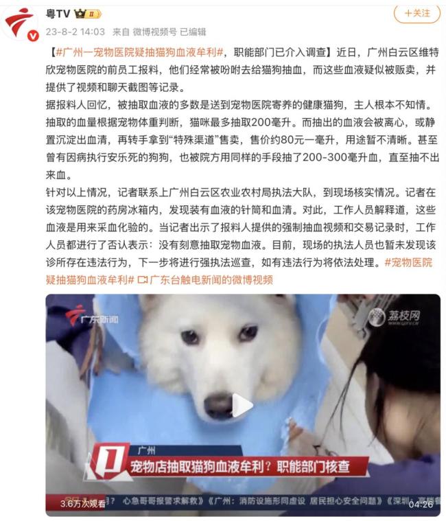 宠物医院实习员工曾搜证爆料血猫违规售血遭罚(图1)