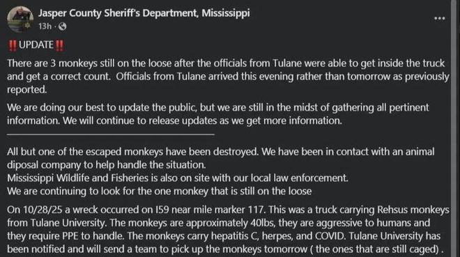 坏了美国跑丢3只猴疑似带3种病毒？！说法还互相矛盾这？！(图4)