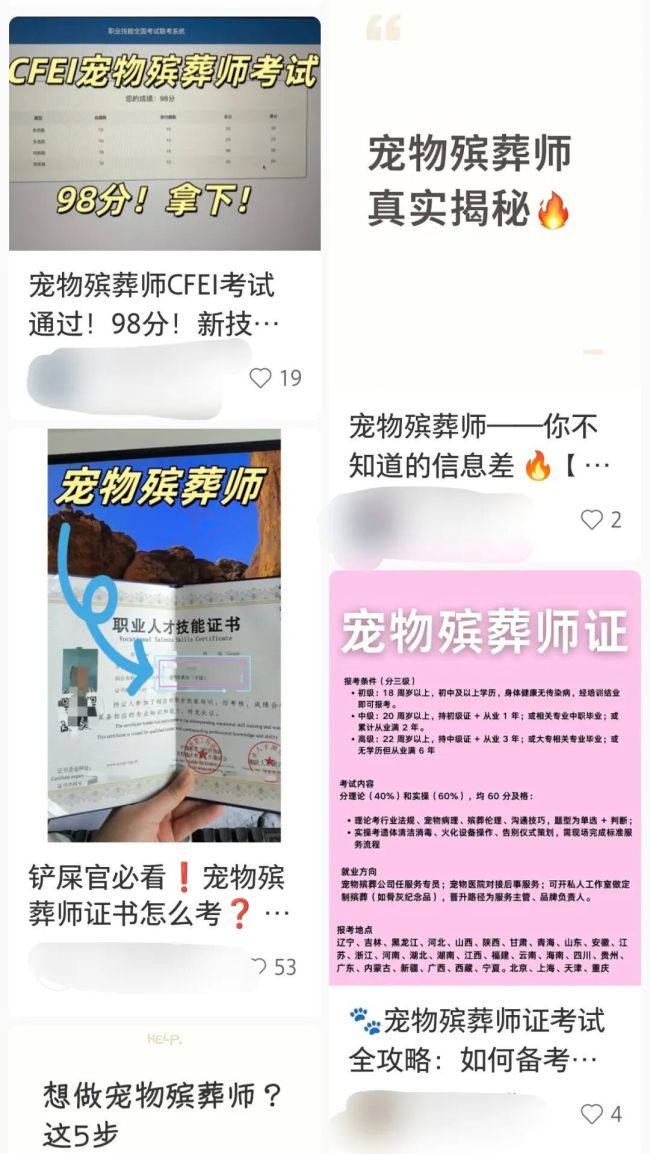 宠物殡葬乱象调查：无证经营3000元难买体面告别(图2)