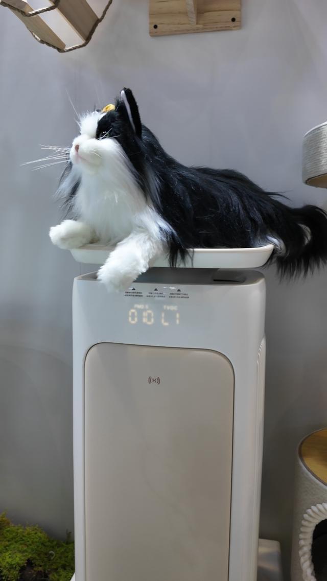 尊龙凯时网站：宠物茶歇、65克宠物登山胸背用品追求“情绪价值”了！进博会首现产业展台链接全球“它经济”丨Hi进博(图4)