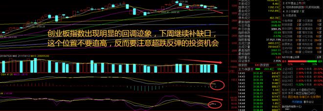 A股三大指数齐跌！海南板块逆市领涨政策红利引爆资金热潮(图2)