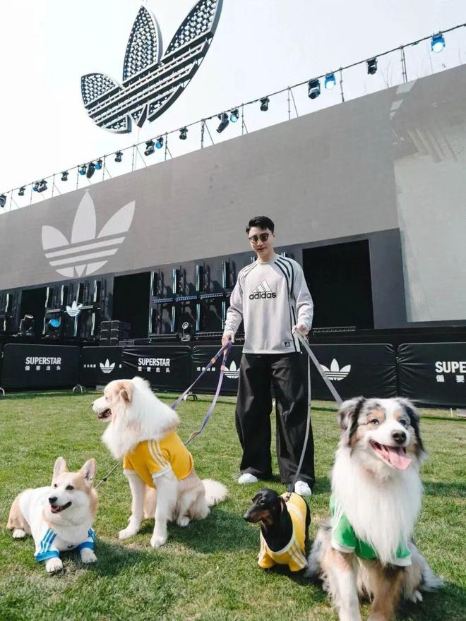 时尚风潮席卷宠物圈宠物经济成为品牌新战场(图4)