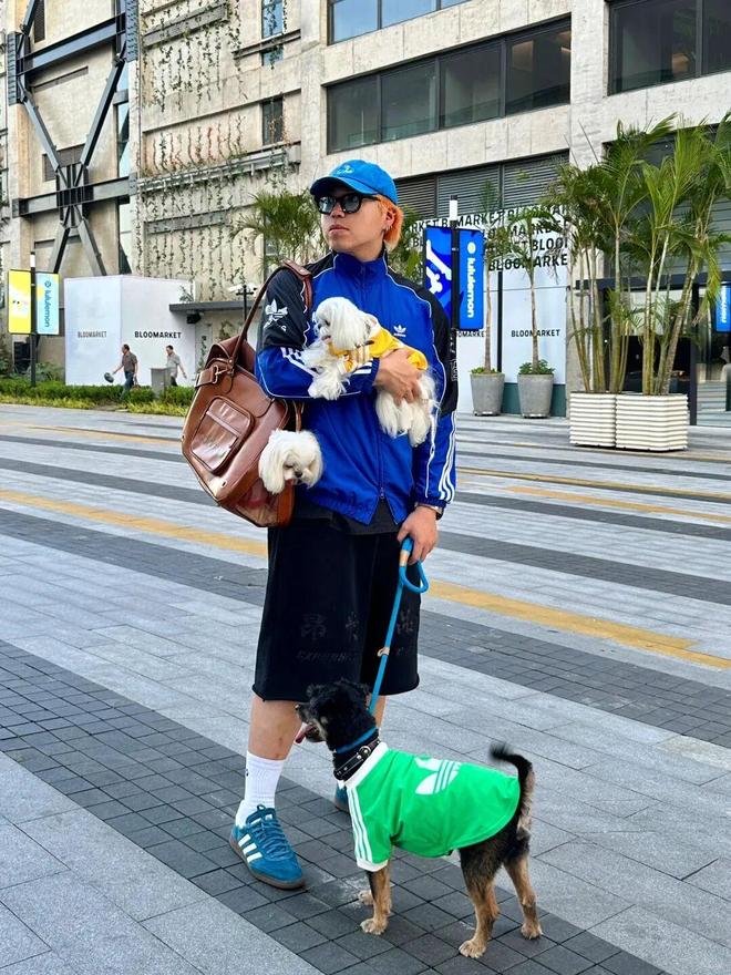 时尚风潮席卷宠物圈宠物经济成为品牌新战场(图5)