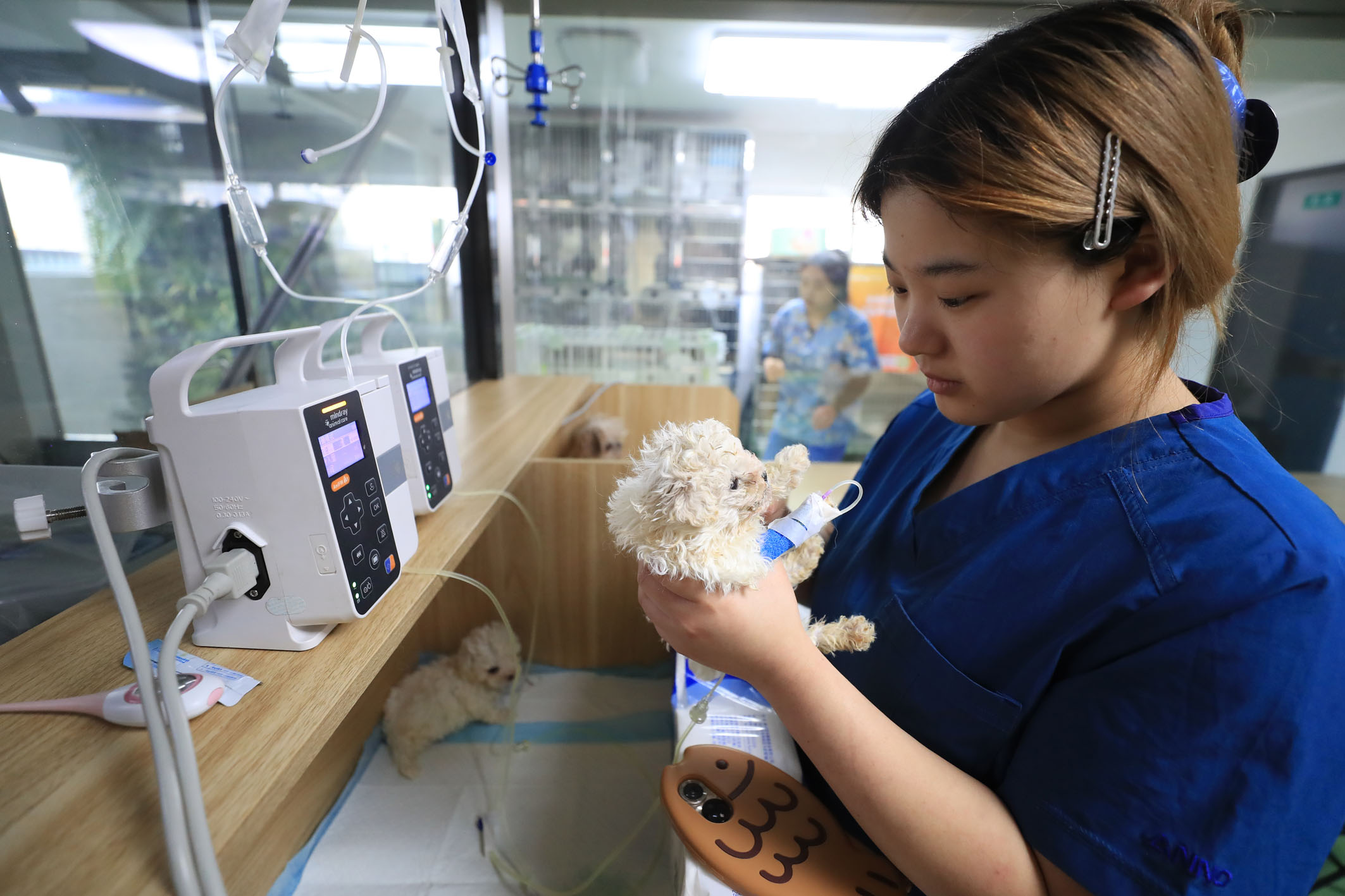 尊龙凯时网站：“吸睛”又“吸金”千亿宠物经济赛道火热(图1)