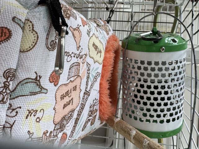 天冷添衣、智能控温……宠物过冬撬动千亿元市场(图3)