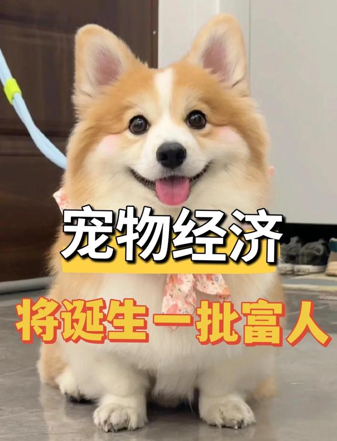 中国进入低欲望时代没人愿意花钱了？这5条赛道正闷声发大财！(图3)