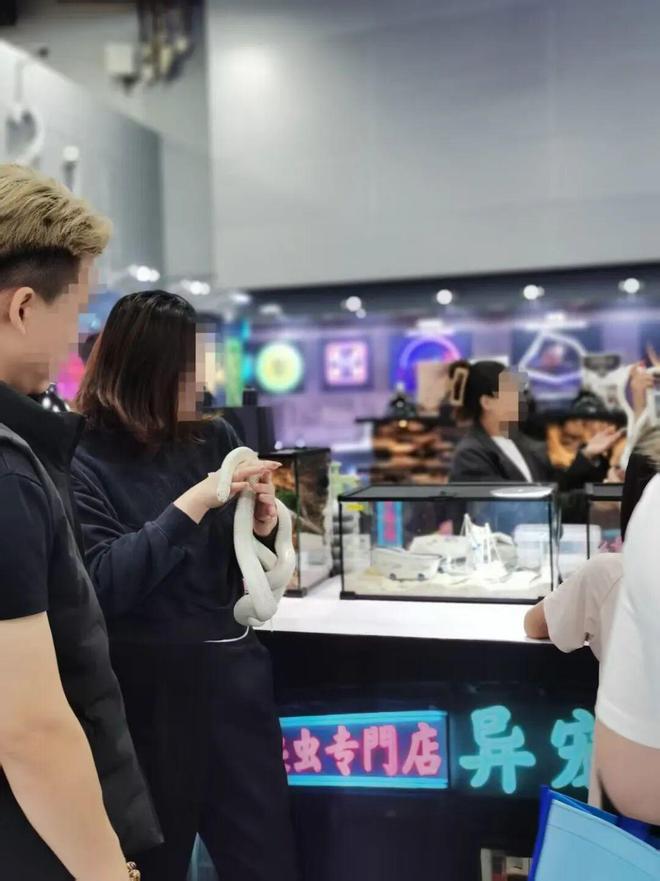 年轻人迷上“冷血萌物”情绪价值撬动百亿新赛道(图1)