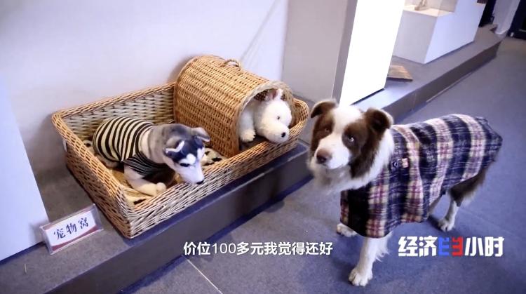 国潮风起揭秘汉服百亿产业密码_菏泽新闻_大众网(图13)