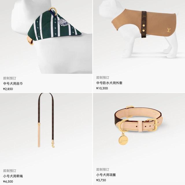 2万多的爱马仕狗碗50万元的LV狗屋奢侈品品牌瞄准宠物市场从头到脚、衣食住行的宠物用品应有尽有(图2)