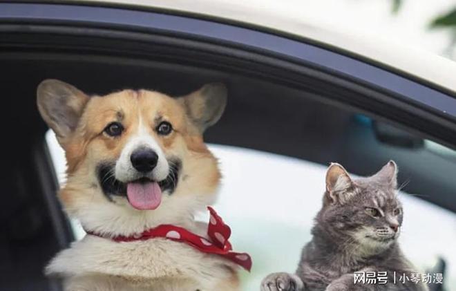 人生就是博：历史上首次！中国无孩家庭占比过半国人第一次为自己“消费”？(图7)