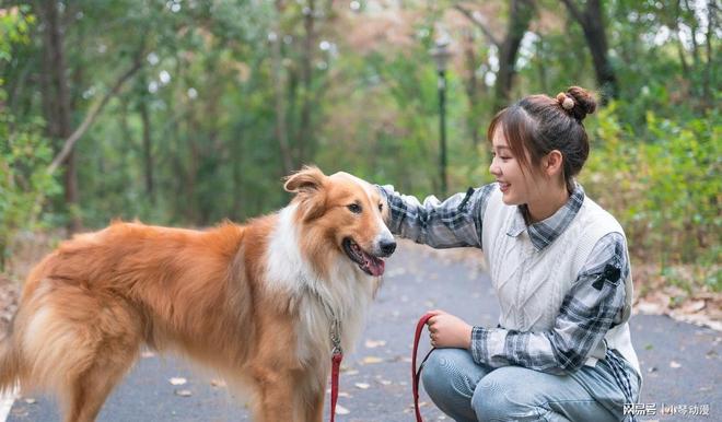 人生就是博：历史上首次！中国无孩家庭占比过半国人第一次为自己“消费”？(图13)