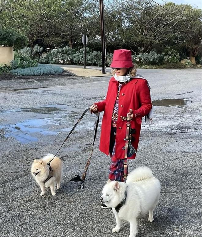 人生就是博：历史上首次！中国无孩家庭占比过半国人第一次为自己“消费”？(图12)