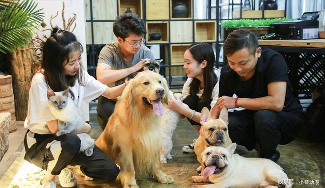 人生就是博：历史上首次！中国无孩家庭占比过半国人第一次为自己“消费”？(图15)