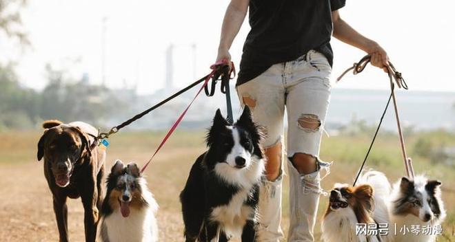 人生就是博：历史上首次！中国无孩家庭占比过半国人第一次为自己“消费”？(图14)