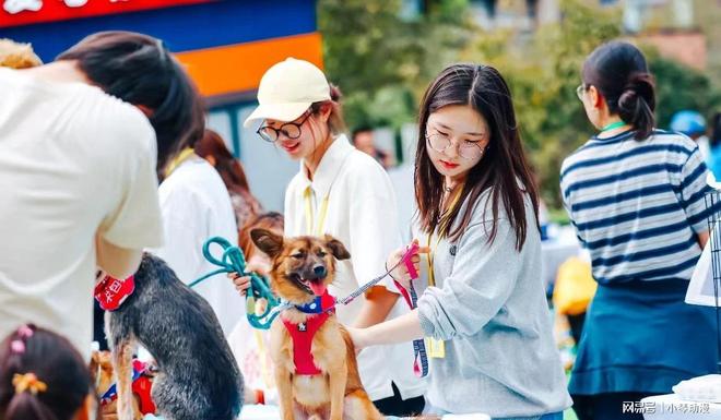 人生就是博：历史上首次！中国无孩家庭占比过半国人第一次为自己“消费”？(图16)