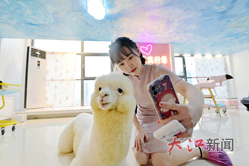 “它经济”崛起江西宠物经济如何“出圈”？(图1)