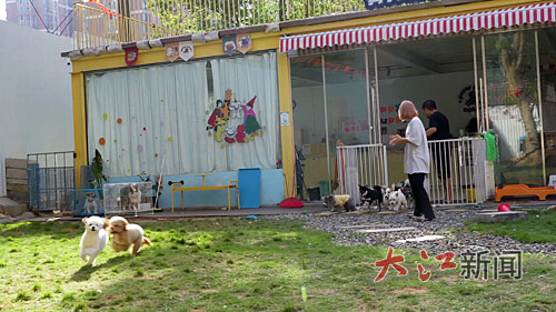 “它经济”崛起江西宠物经济如何“出圈”？(图3)