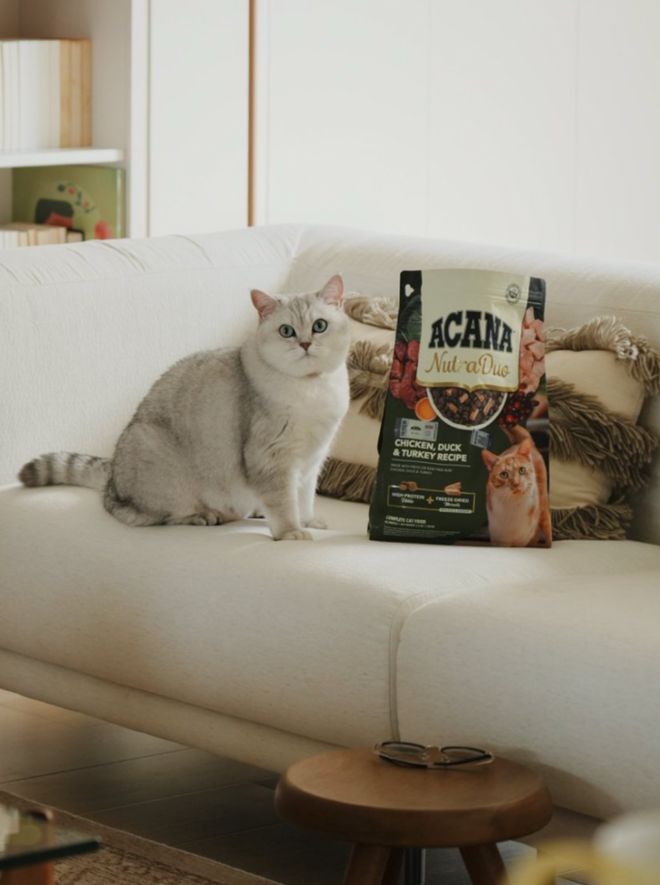 尊龙凯时网站：爱肯拿双拼倍护宠粮中国上市高端宠粮加码“日常养护”(图3)