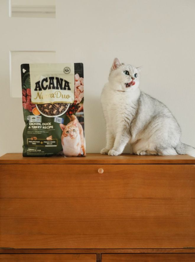 尊龙凯时网站：爱肯拿双拼倍护宠粮中国上市高端宠粮加码“日常养护”(图5)