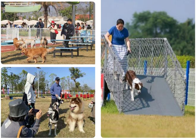 见明星、品美食、听音乐会三水元旦假期游玩攻略来啦→(图5)