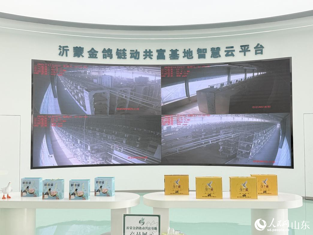 山东临沂：山水共富点石成金(图6)