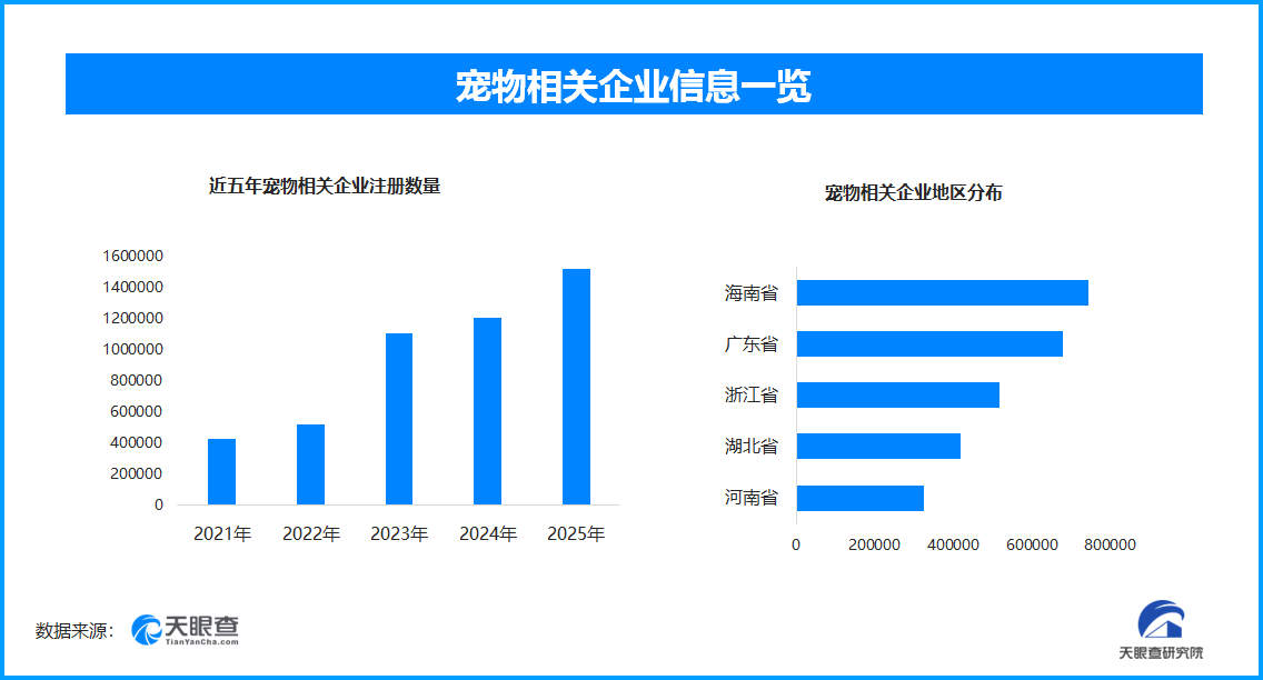 今年起遛狗不拴绳最高拘留10天现存宠物相关企业超5375万家(图1)