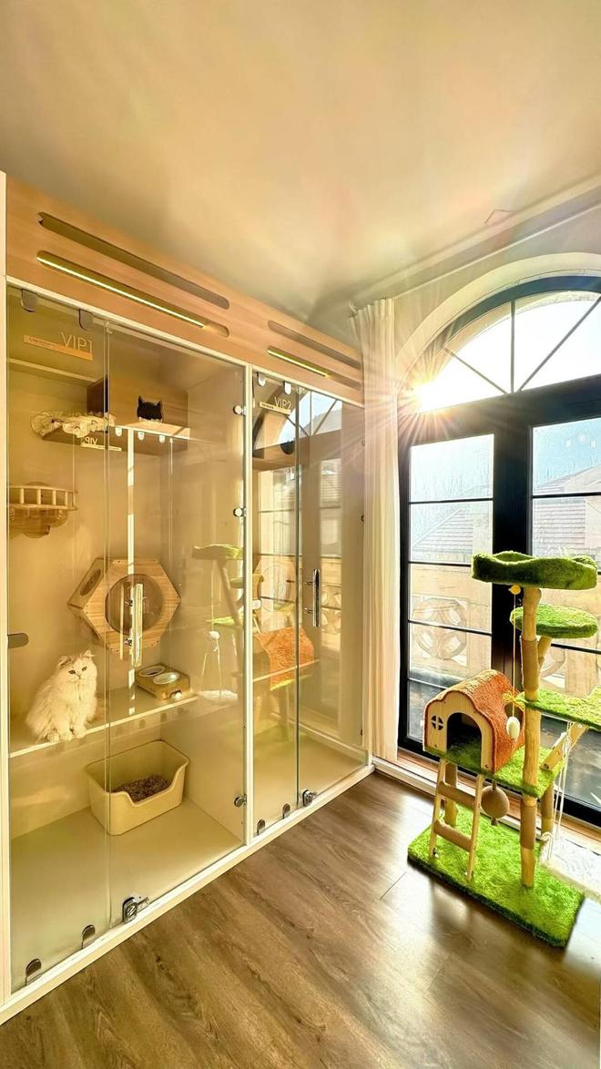 果然财经丨宠物酒店春节预定“一房难求”陪伴服务成寄养新需求(图1)