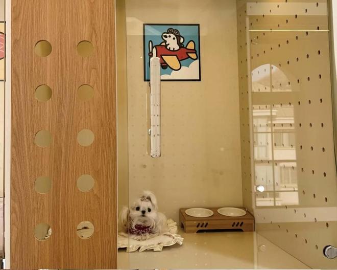 果然财经丨宠物酒店春节预定“一房难求”陪伴服务成寄养新需求(图3)