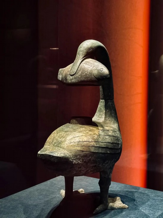 人生就是博：打卡北极狐、夜游美术馆上海本周这些文旅活动(图4)