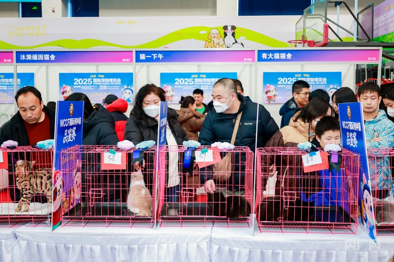 2025国际宠物博览会在北京平谷区开幕(图1)