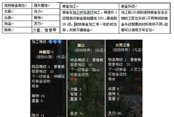 宠物装备宠主提升解析(图1)