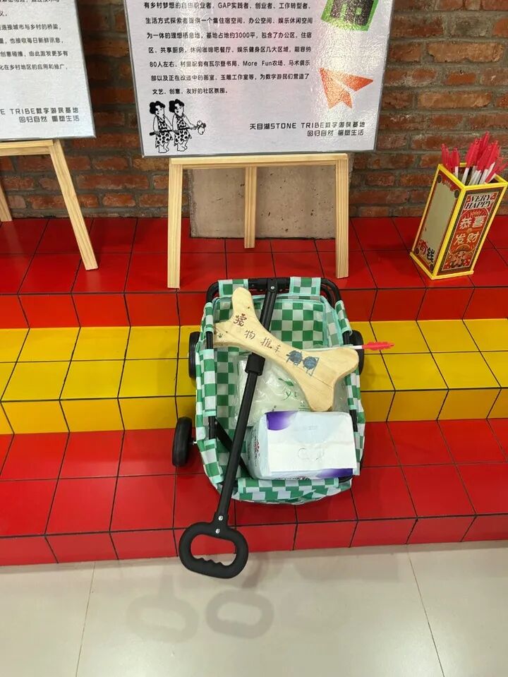 尊龙凯时网站：超治愈！在江苏“毛孩子”也有诗和远方(图2)