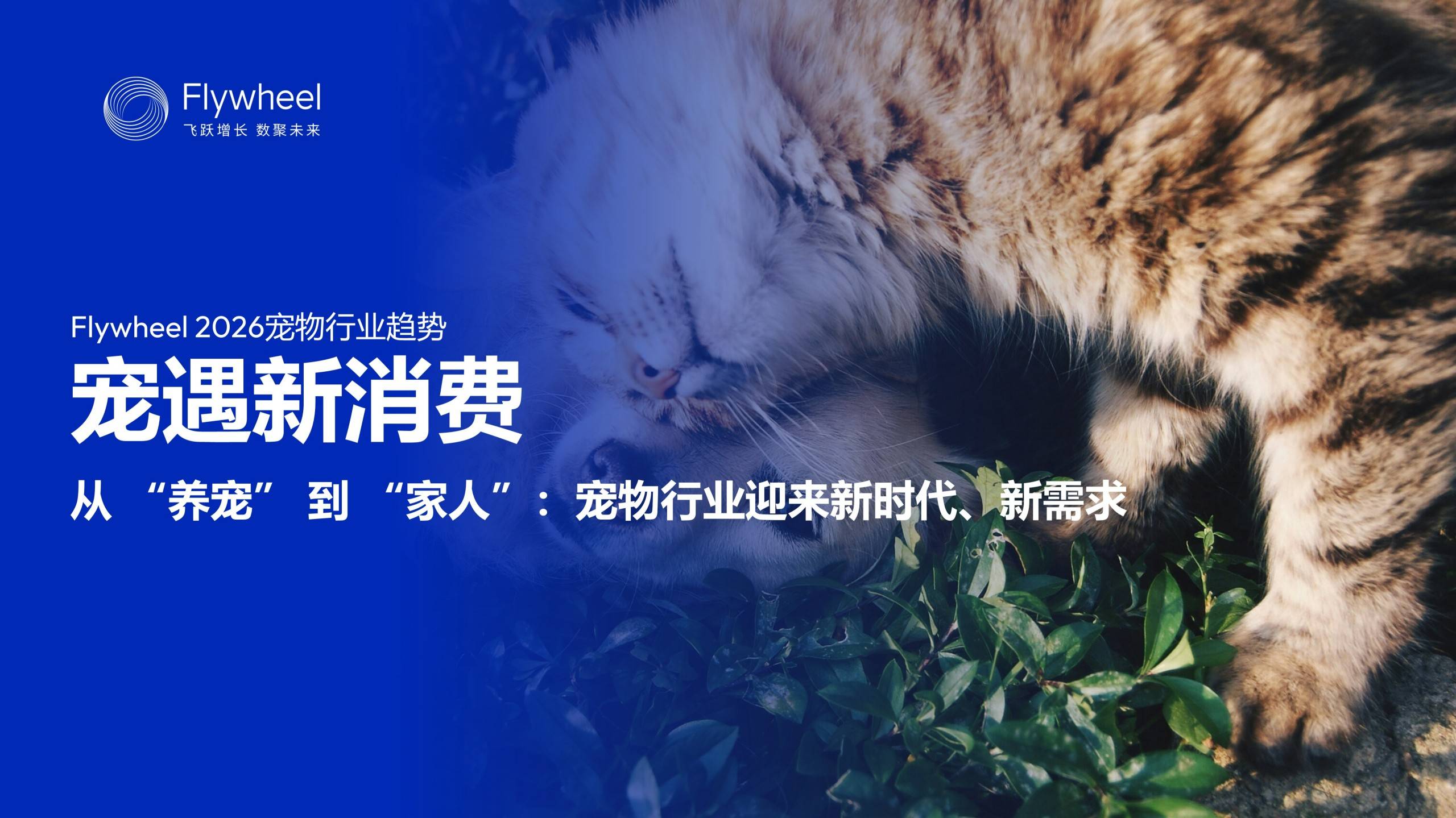《2026宠物行业趋势报告》发布：宠物经济浪潮下的需求与机会