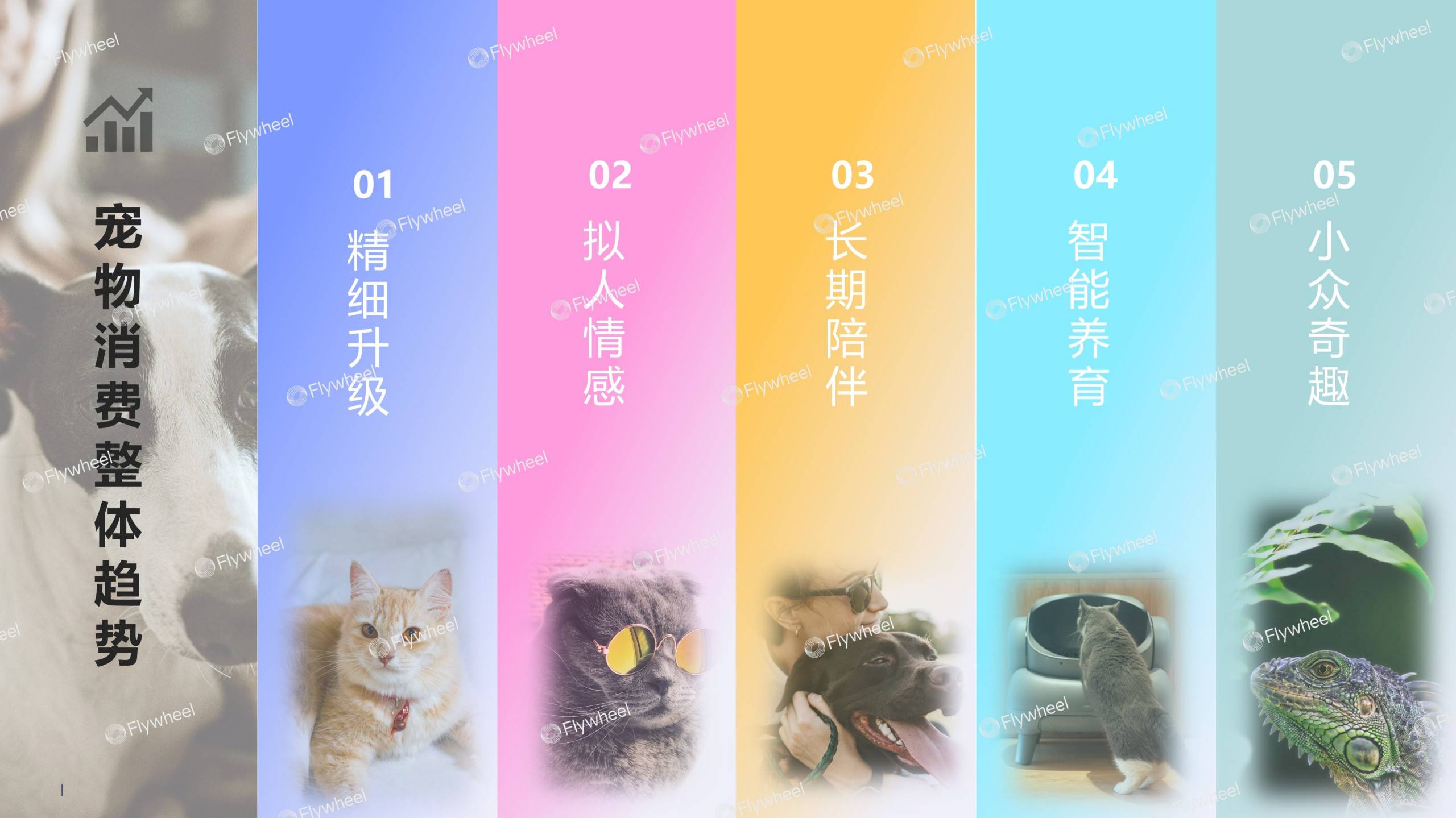 《2026宠物行业趋势报告》发布：宠物经济浪潮下的需求与机会(图13)