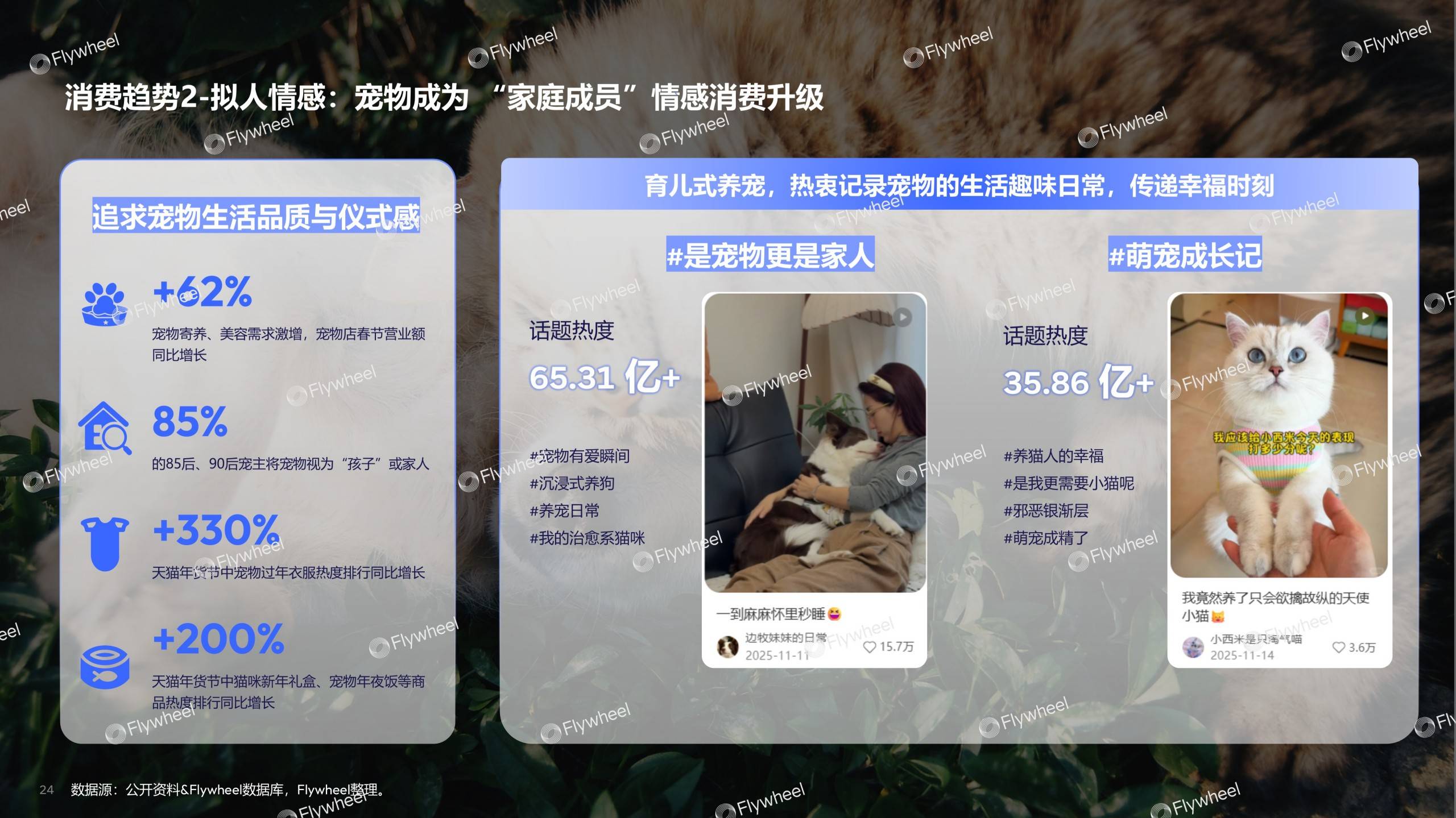 《2026宠物行业趋势报告》发布：宠物经济浪潮下的需求与机会(图15)