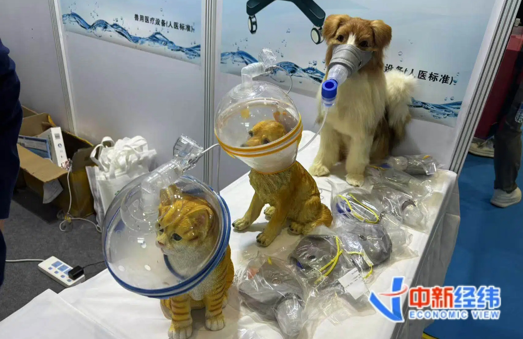 宠物专用CT、AI诊断心脏病……“黑科技”争抢宠物经济机遇(图2)