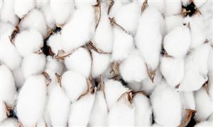 宠物衣服行业市场消费需求宠物衣服行业投资前景预测(图3)