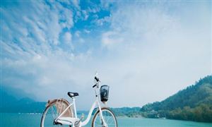 宠物衣服行业市场消费需求宠物衣服行业投资前景预测(图7)