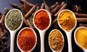 人生就是博：2023宠物服饰行业未来发展趋势及前景分析(图7)