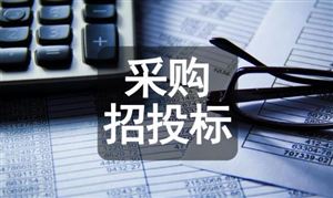 光遇2024年新春物品兑换图光遇春节礼包一览(图5)