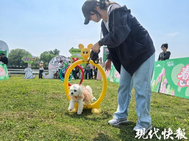 人生就是博：扬州广陵打造首个宠物友好型乡村度假目的地(图2)