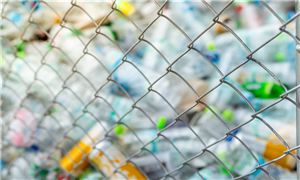 2023宠物服饰行业发展趋势及市场现状分析(图4)