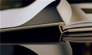 2023宠物服饰行业发展趋势及市场现状分析(图3)